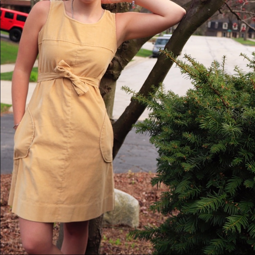Antique Corduroy Dress